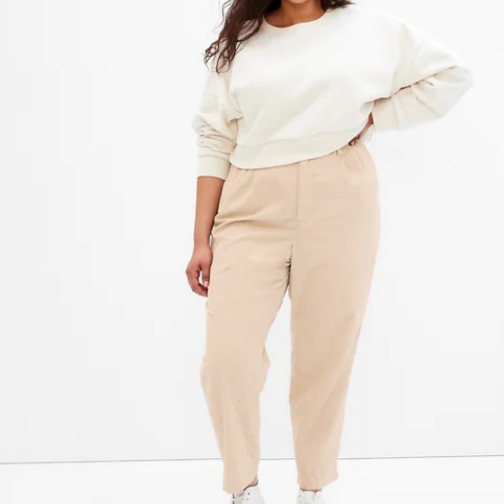 High Rise Pleated Taper Corduroy Pants with Washwell - Picture 5 of 6